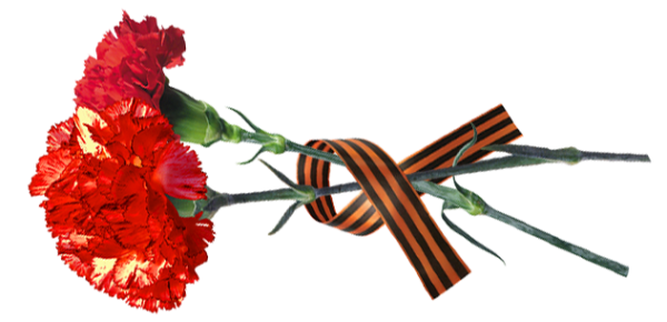 Георгиевская ленточка и гвоздики