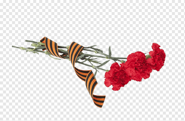 Георгиевская лента с гвоздикой