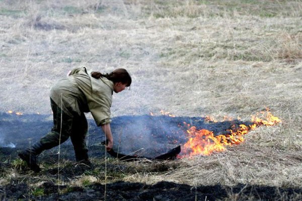 Захлестывание лесного пожара