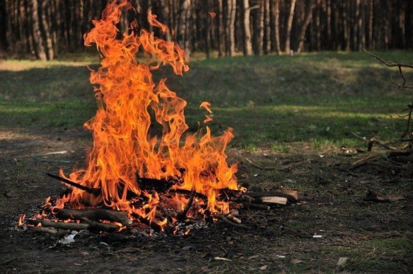 Оставленные без присмотра костры