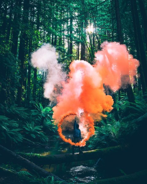 Фотосессия с цветным дымом в лесу