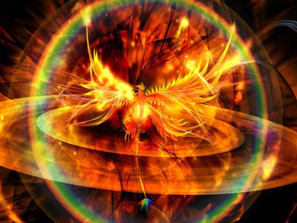 Феникс солнце