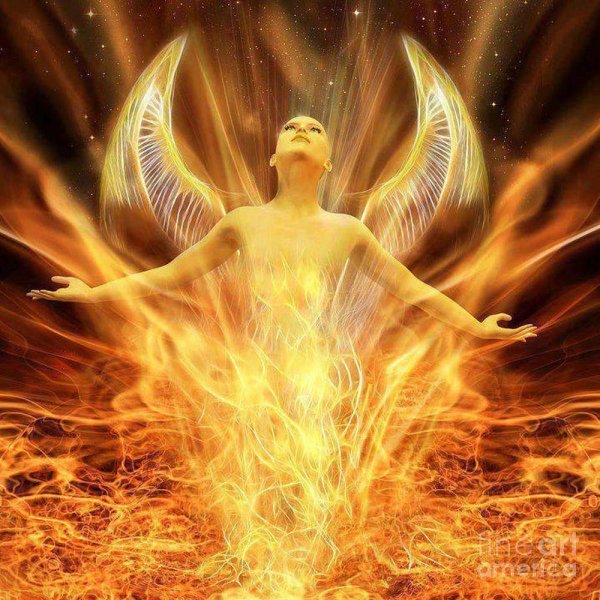 Феникс Восставший из пепла