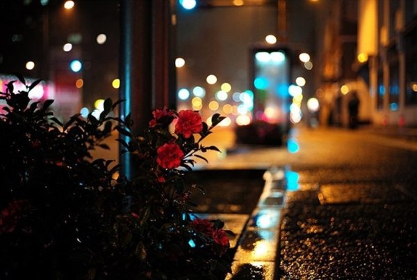 Вечерние огоньки города