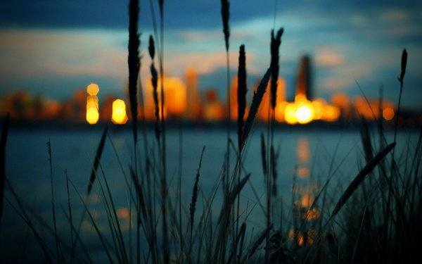 Вечер закат