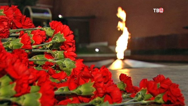 Гвоздичка вечный огонь