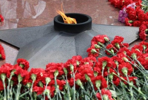 Гвоздики у вечного огня