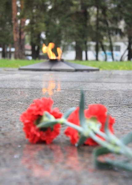 Гвоздики у вечного огня