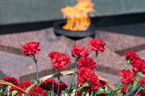 Гвоздика у вечного огня