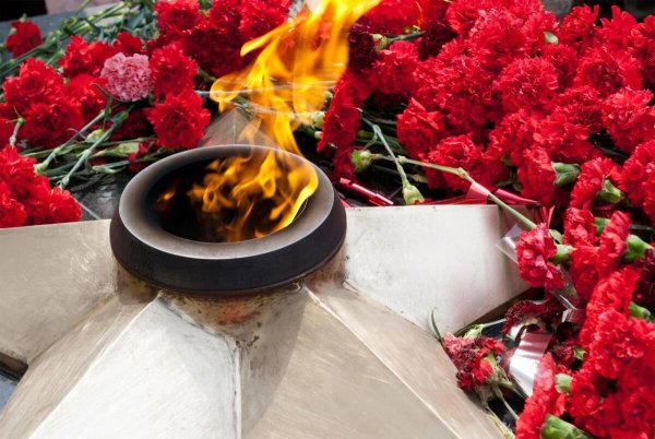 9 Мая гвоздики вечный огонь