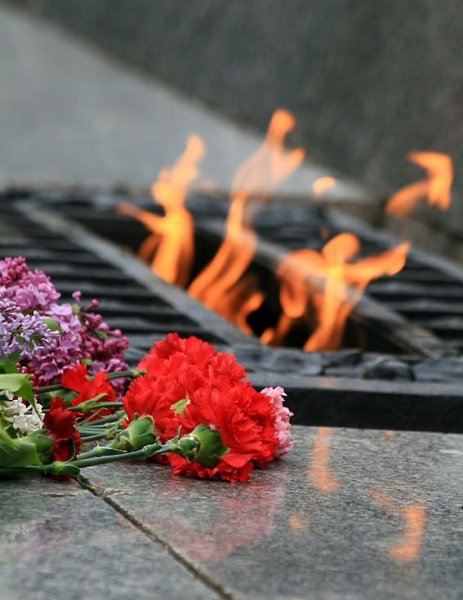 Гвоздика у вечного огня