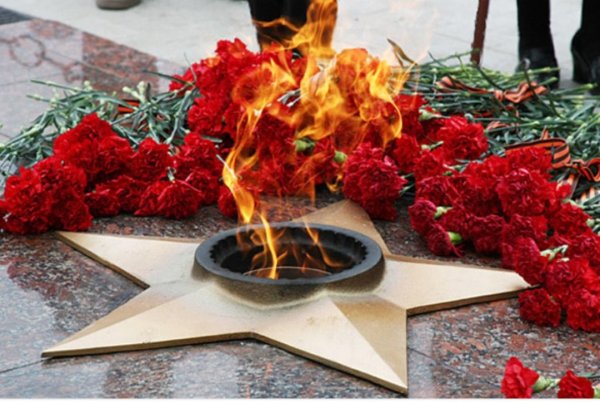 Гвоздики у вечного огня