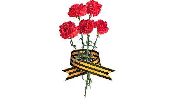 Гвоздики на белом фоне с георгиевской лентой