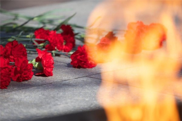 Цветы на фоне вечного огня