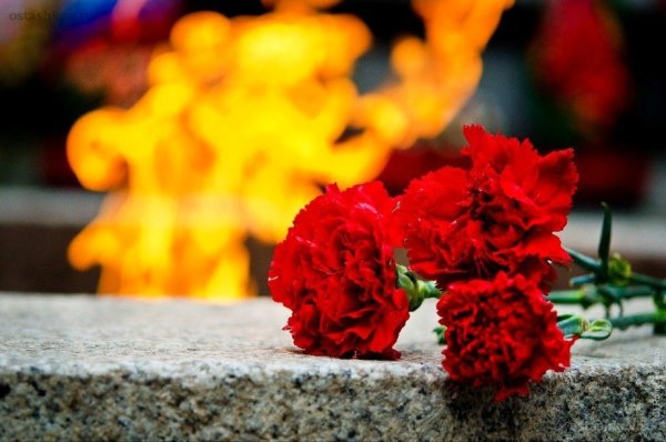 22 Июня день памяти и скорби