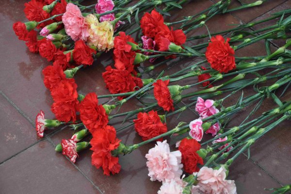 Гвоздики Победы