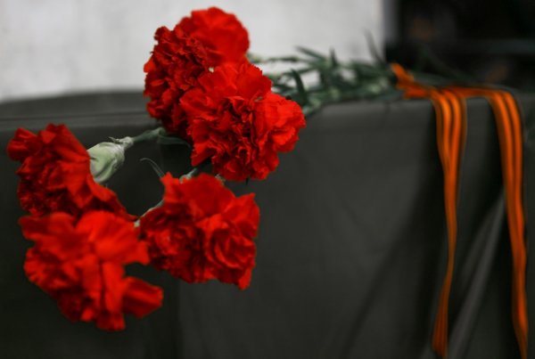 Красные гвоздики со свечей