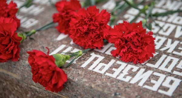 Великая Отечественная война гвоздики