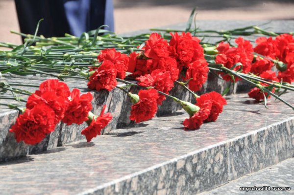 Гвоздики на мемориале