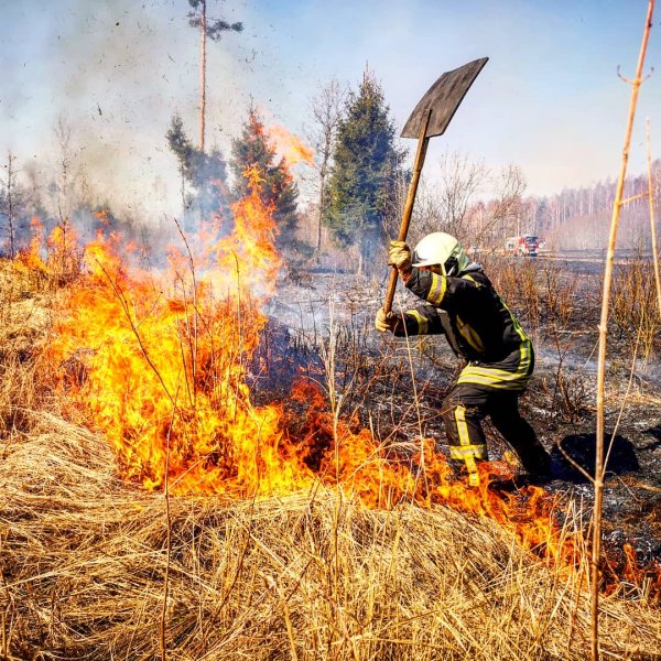 Пожарные тушат пожар