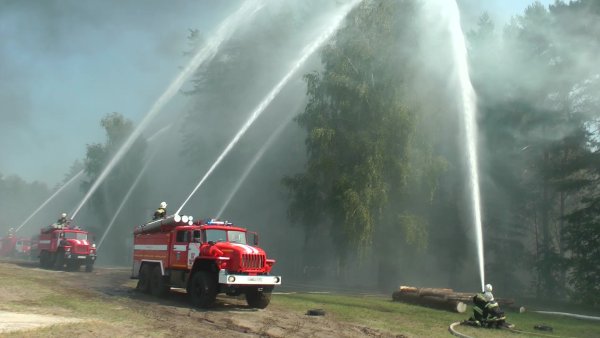 МЧС России Лесные пожары