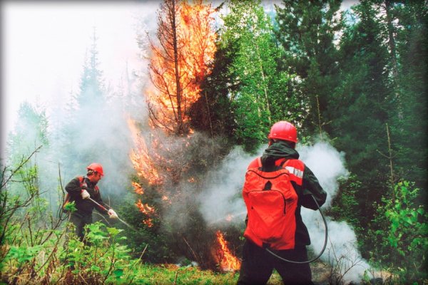 Пожарная охрана в лесу
