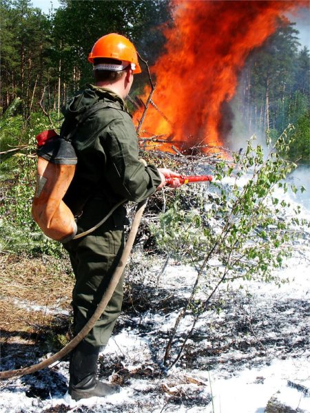 Лесные пожарные