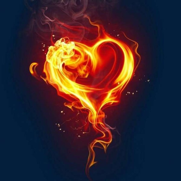 Книга Сердце в огне - читать онлайн, бесплатно. Автор: Агата Мур