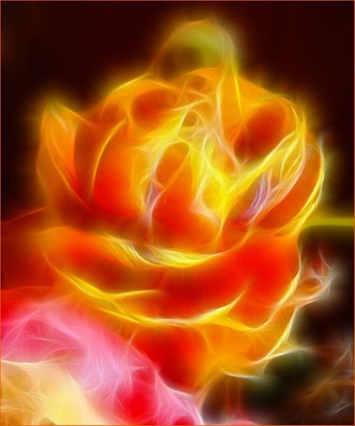 Цветы огненного цвета