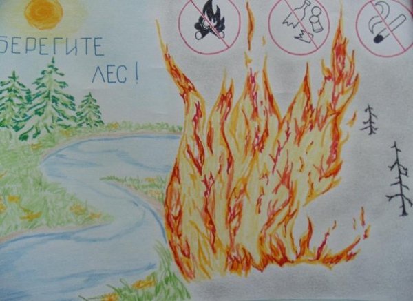 Плакат на тему пожар в лесу