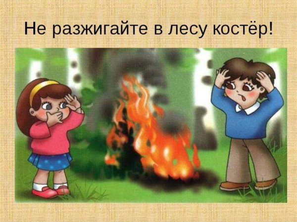 Не разжигать костер в лесу
