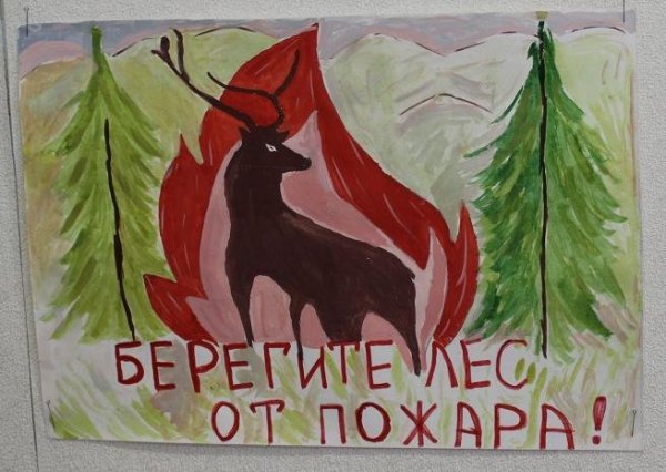 Берегите животных в лесу