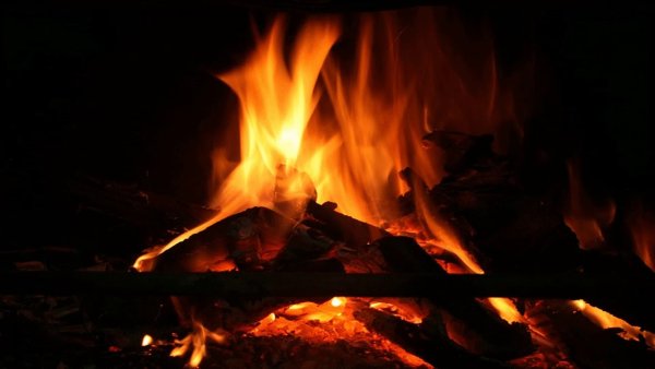 Живой костер