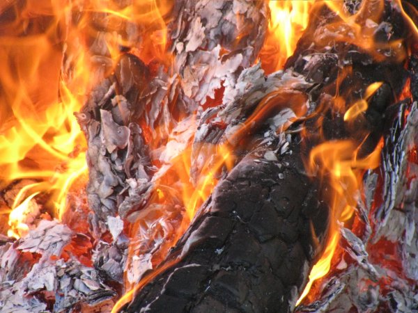 Пожар от костра