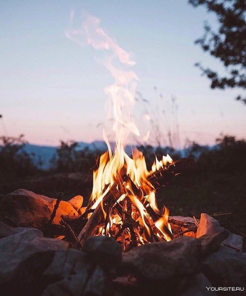 Костер в лесу Эстетика