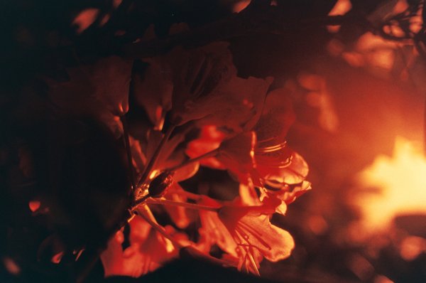 Красный огонь Эстетика