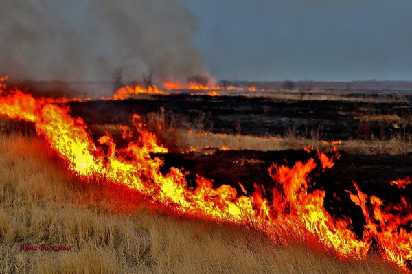 Пожар в степи