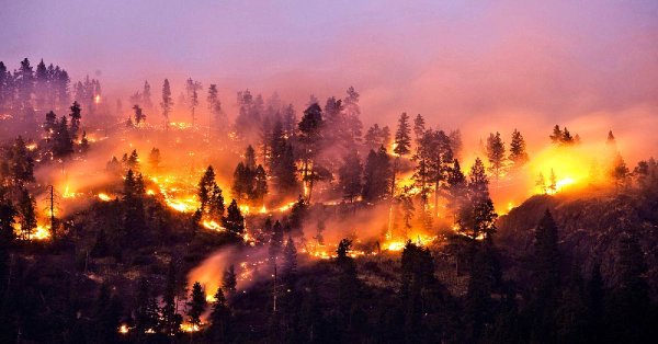 Горящий лес с высоты