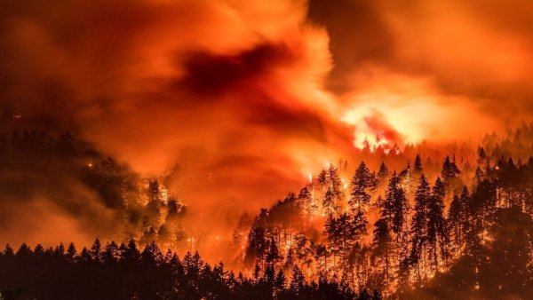 Пожары в лесах