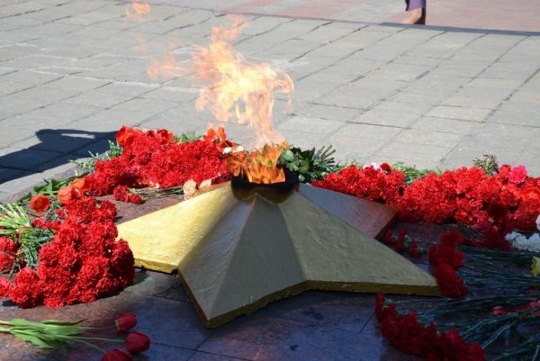 Возложение цветов к Вечному огню