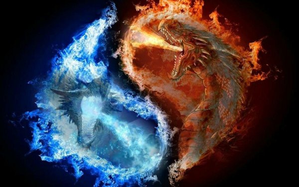 Огненный дракон Инь Янь