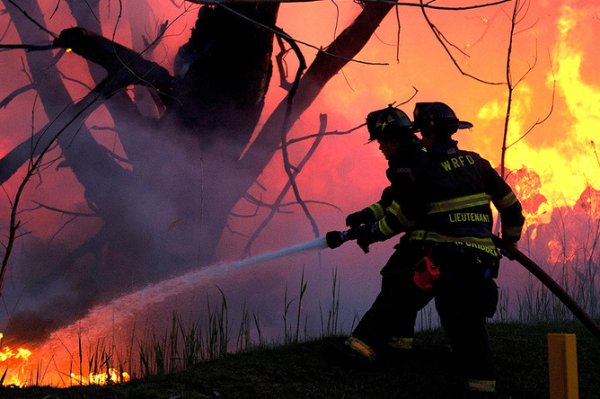 Пожарные тушат пожар в лесу