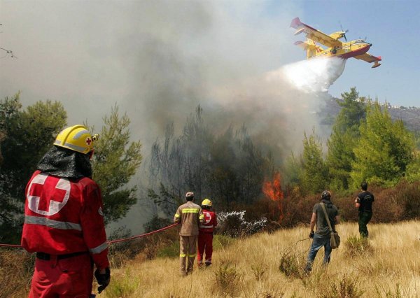 Тушение лесных пожаров
