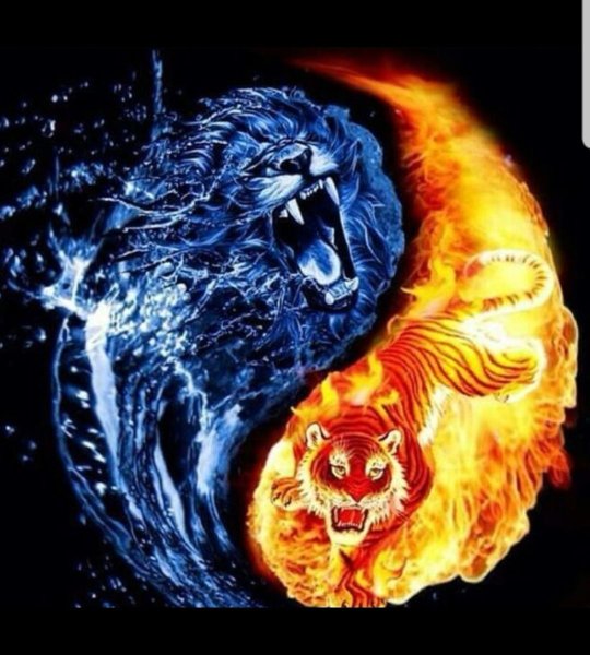 Огненный дракон Инь Янь