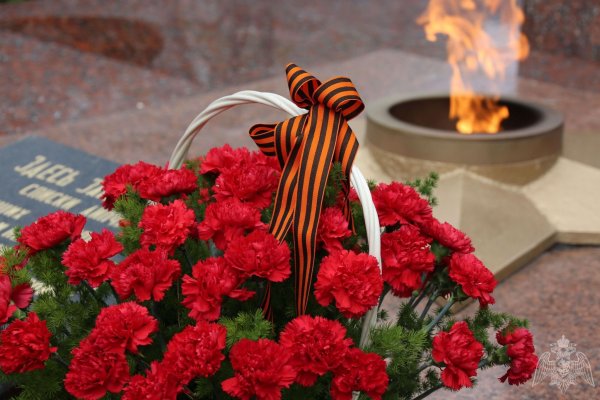 Память о Великой Отечественной войне