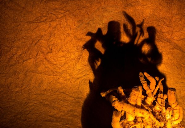 Тень костра