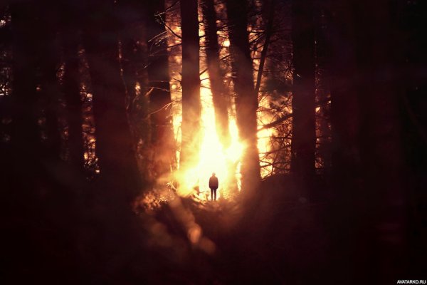 Теневой огонь