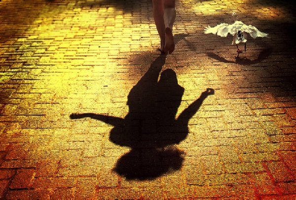 Человек и его тень