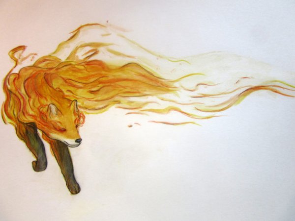 Огненная лиса для срисовки