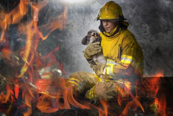 Пожарные спасают людей из огня